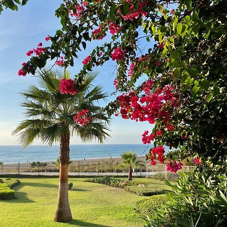 Sunshine Beach Front Complex, Wifi, Modern Casares Exterior foto