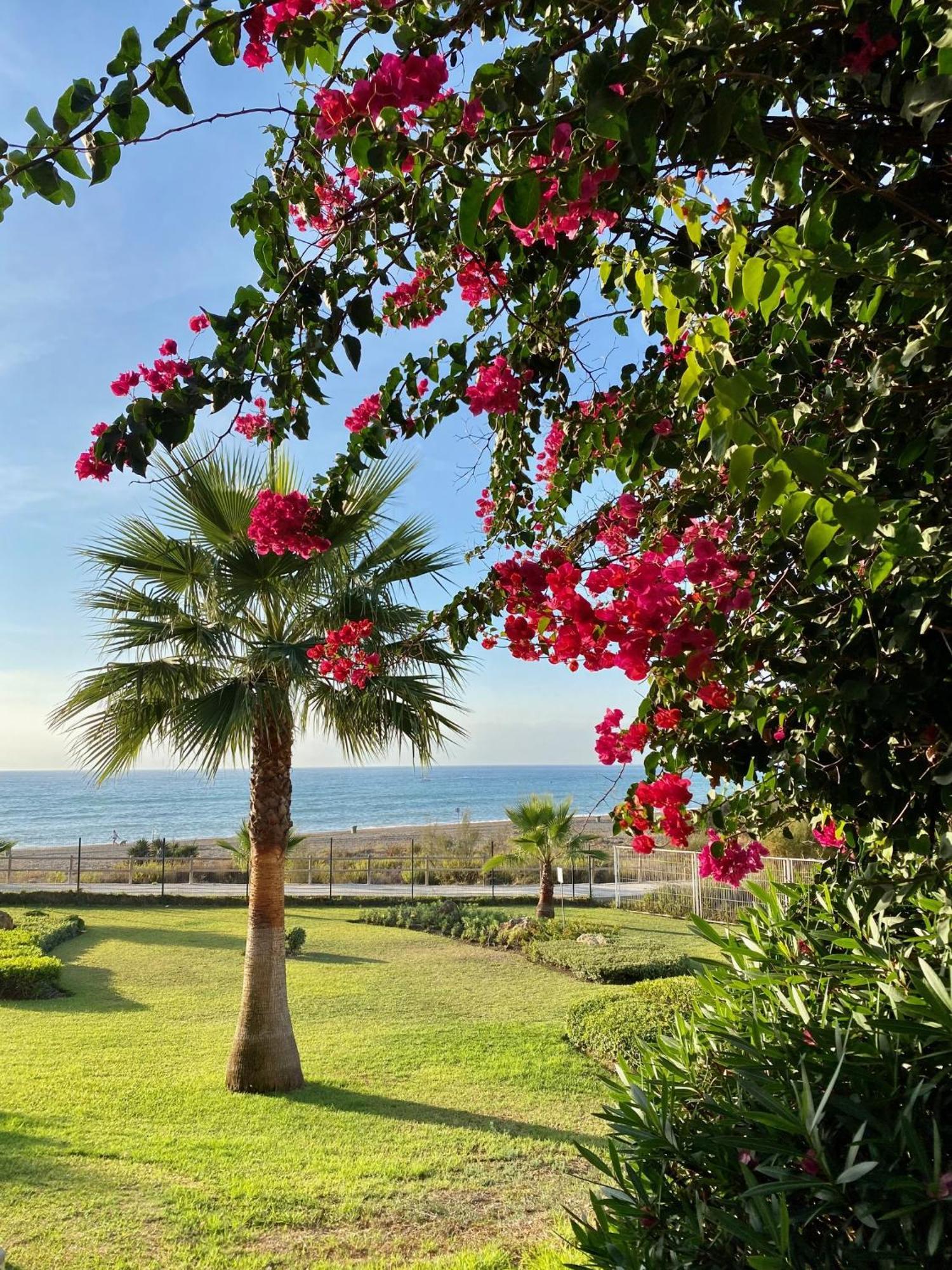 Sunshine Beach Front Complex, Wifi, Modern Casares Exterior foto